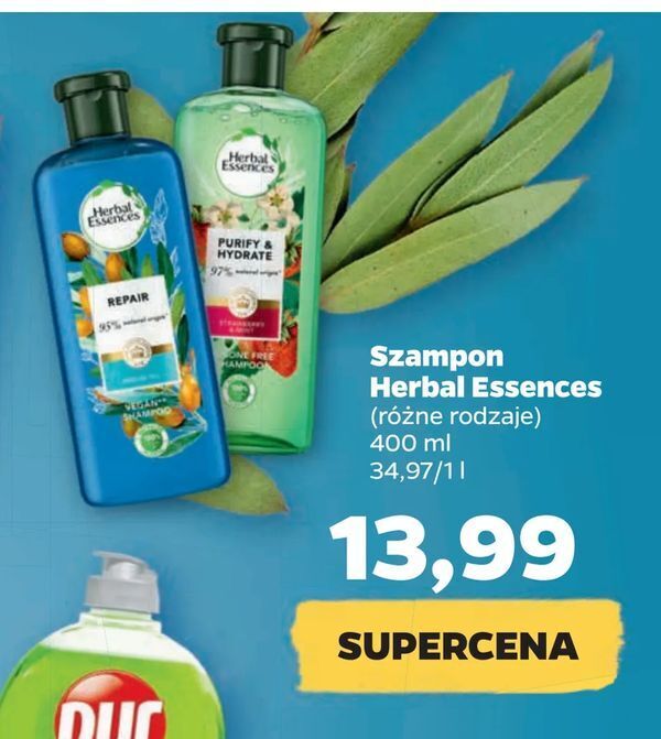 herbal essences szampon biedronka