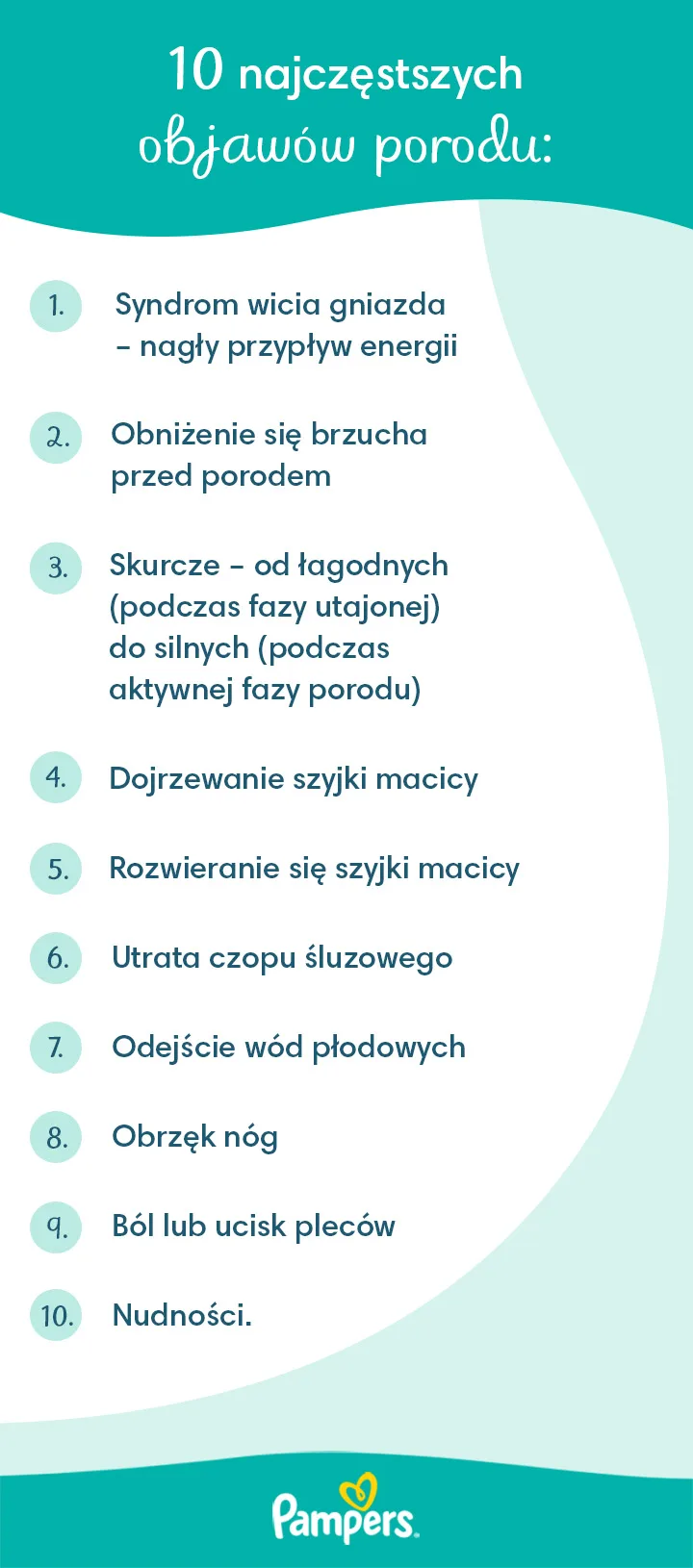 pampers ciąża dzień po dniu