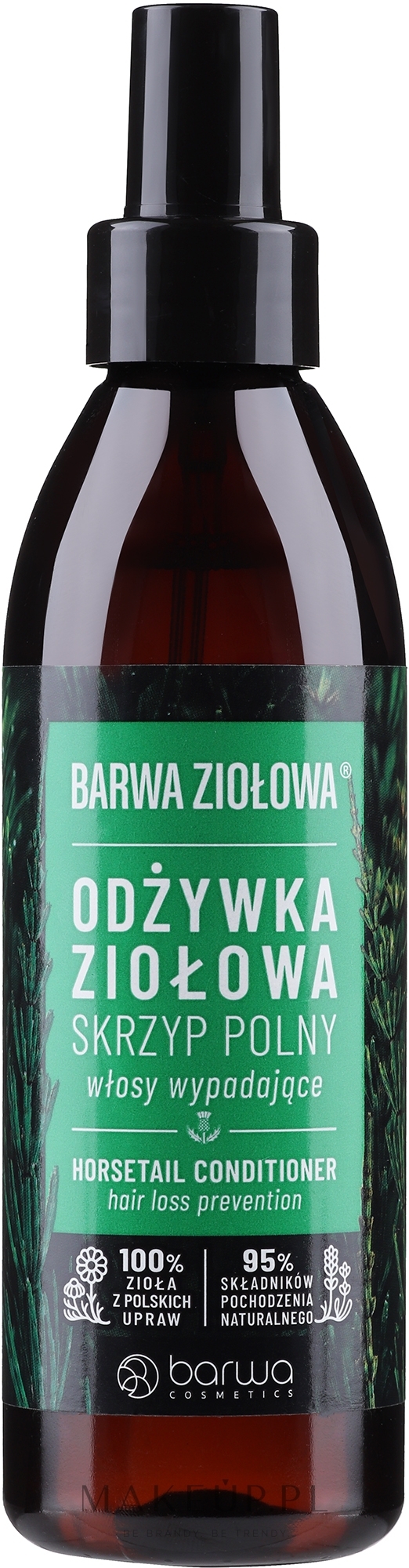 odżywka do włosów ze skrzypu polnego domowa