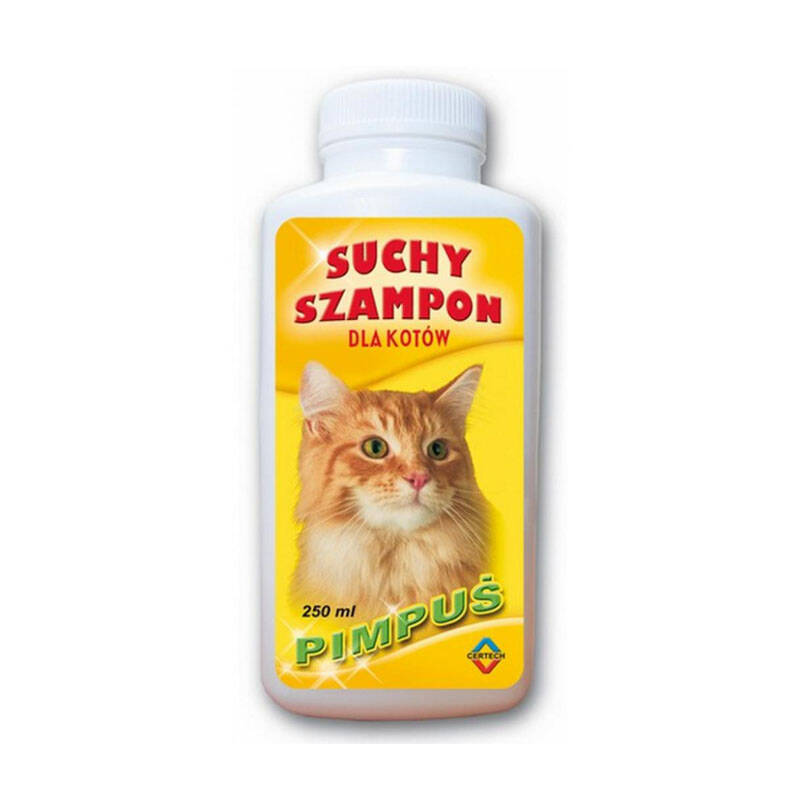 szampon dla kociąt