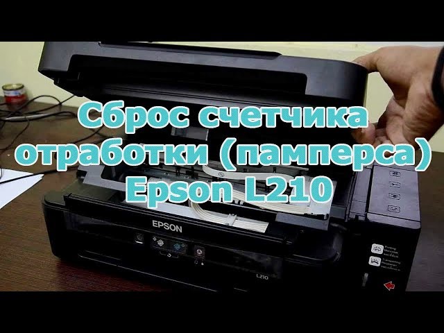 epson l210 pampers wymiana