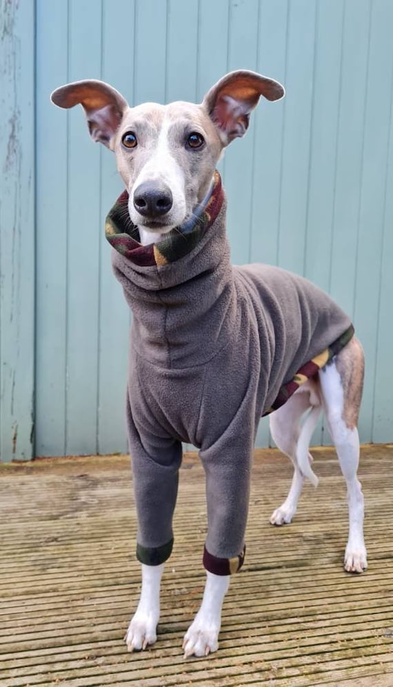 whippet pieluchy