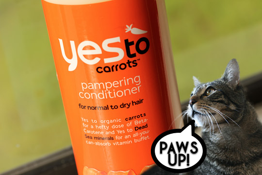 yes to carrots daily pampering conditioner