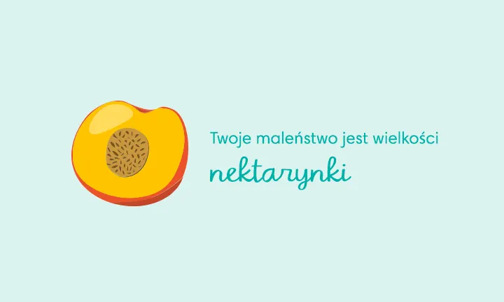 14 tydzien ciązy pampers