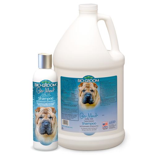 szampon biobujczy dla psa