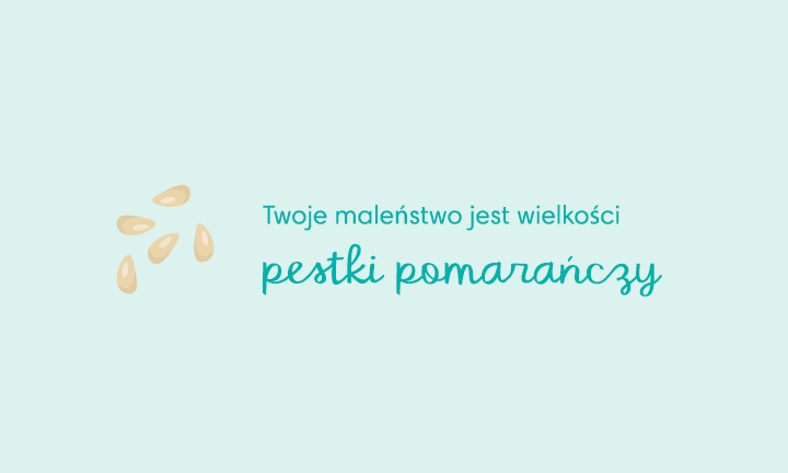 ciąża 5 tydzień pampers