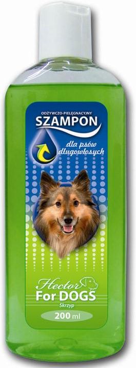 szampon do psa ranking