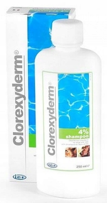 clorexyderm szampon opinie