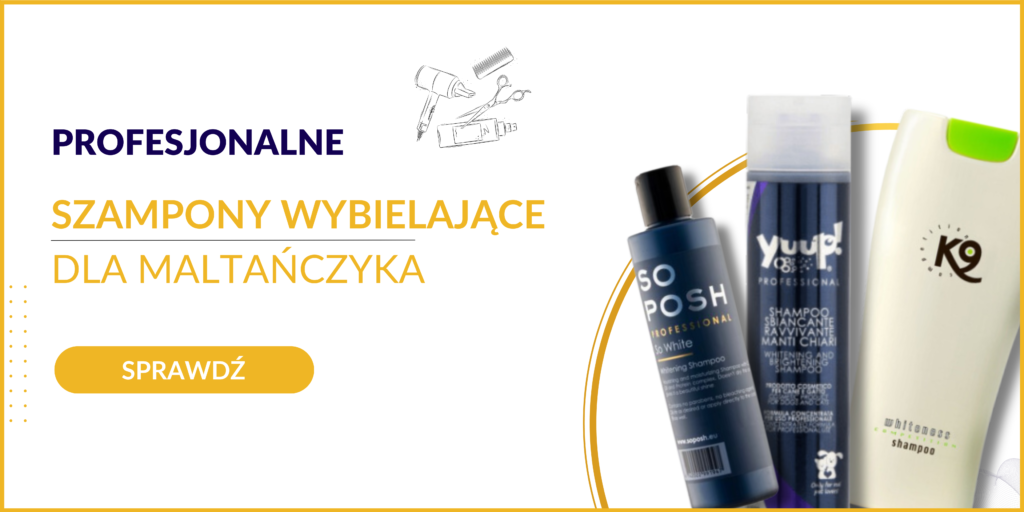 szampon i perfumy wybielający dla maltańczyka