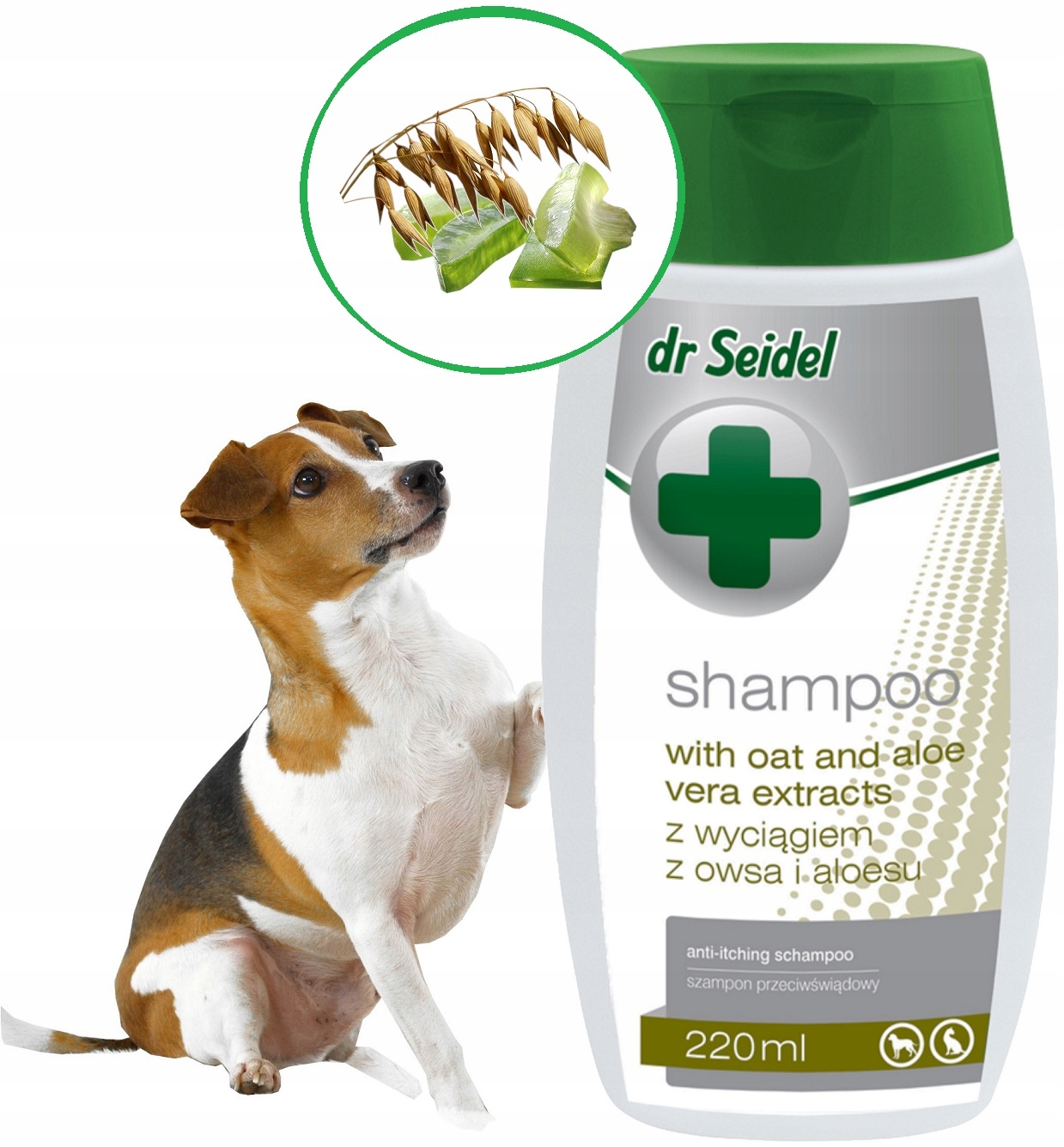 szampon dla psów z owsem