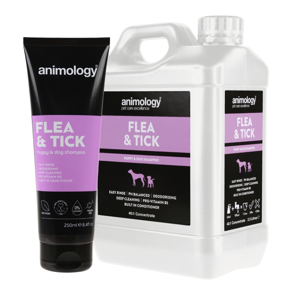 animology szampon dla psa