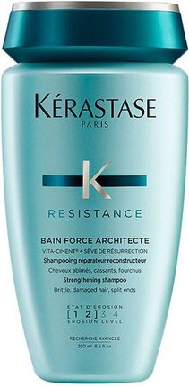 odżywka do włosów bardzo zniszczonych resistance 1l kerastase