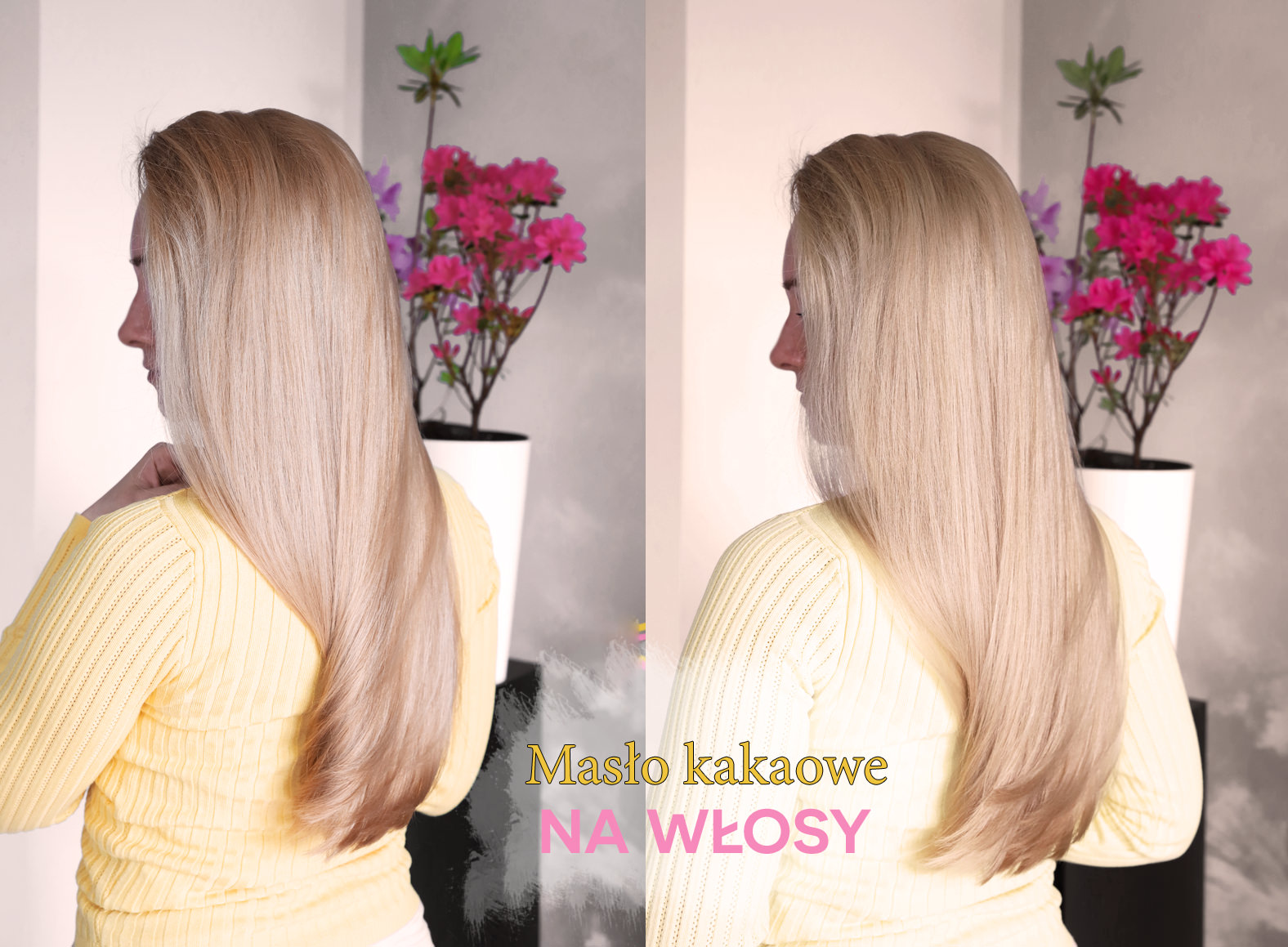 odżywka zija masło kakaowe czy nadaje się do włosów blond