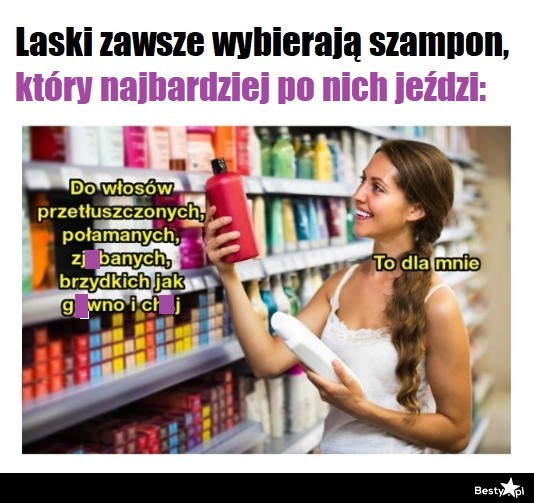 szampon do włosów który po nich jeździ