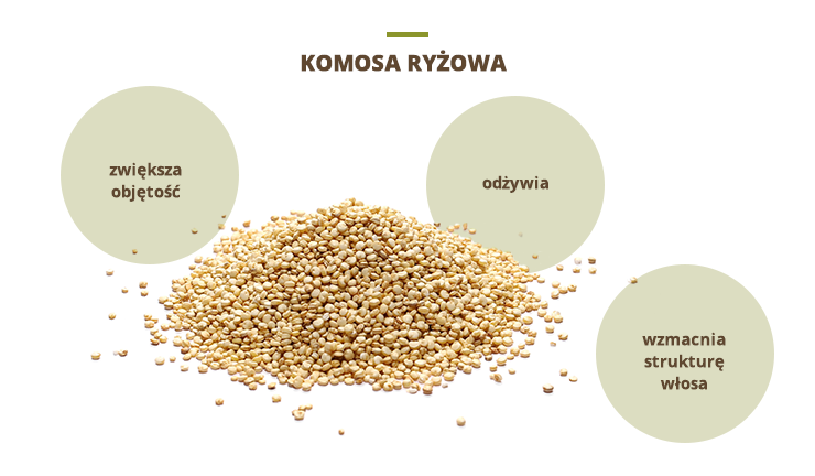 olejek z komosa ryzowa do włosów