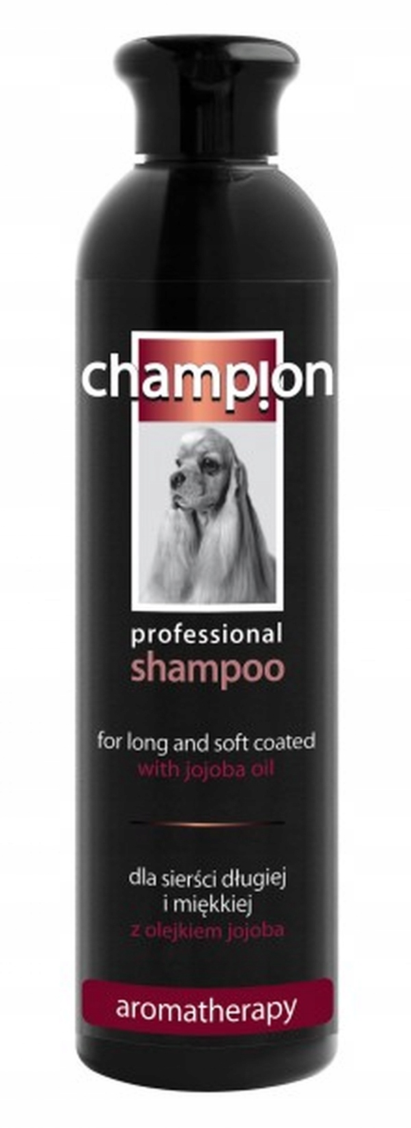 champion szampon allegro