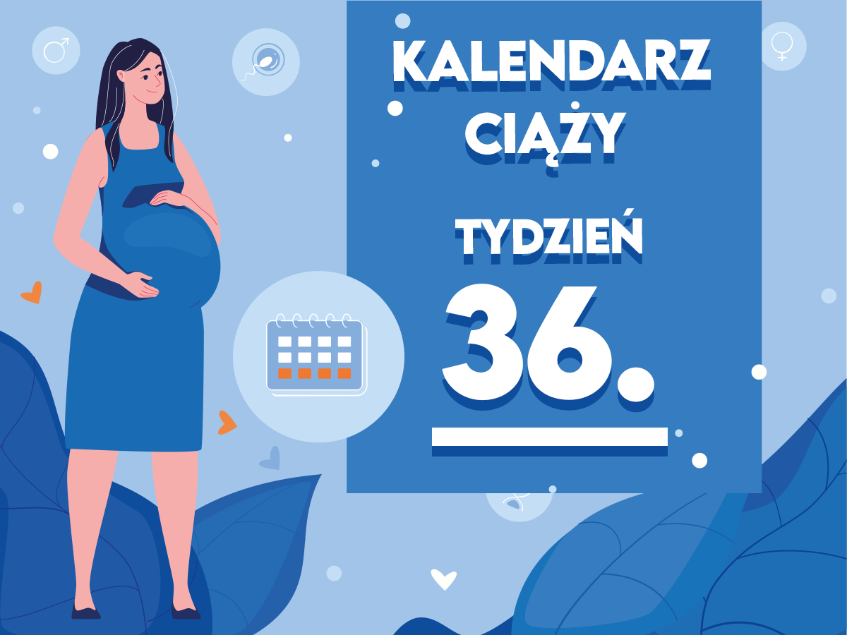 https www.pampers.pl ciaza kalendarz-ciazy seria 36-tydzien-ciazy