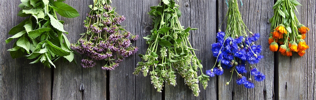 farmona herbal care szampon dziegieć do włosów z łupieżem