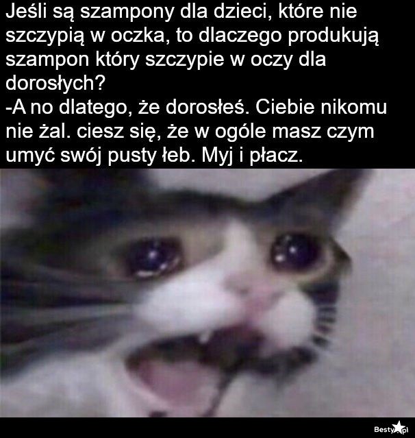 szampon dla dziewczyn mem