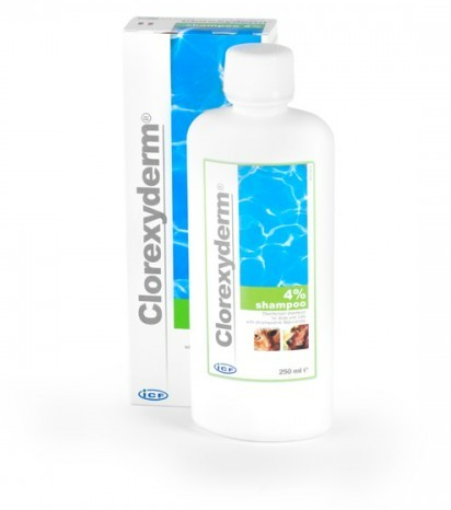 szampon clorexyderm ceneo