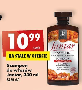 szampon jantar biedronka