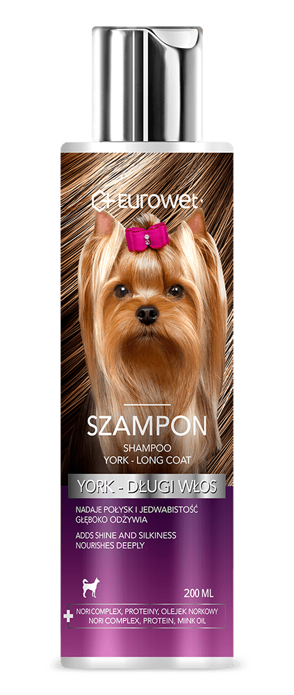 szampon york