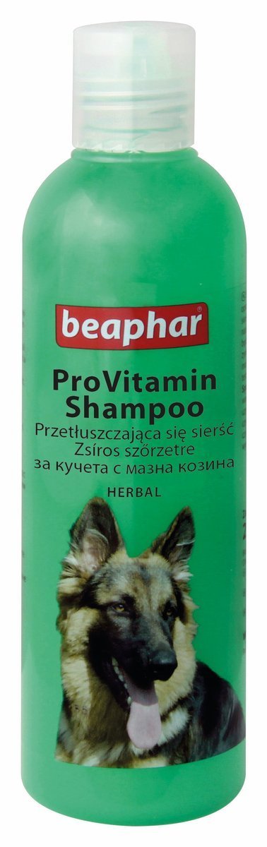szampon dla psów przeciw nadmiernemu sebum