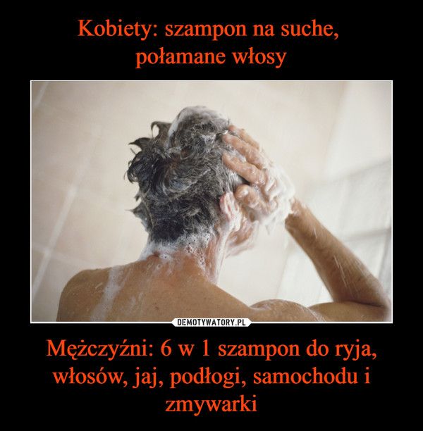 szampon do włosów dla mężczyzn mem
