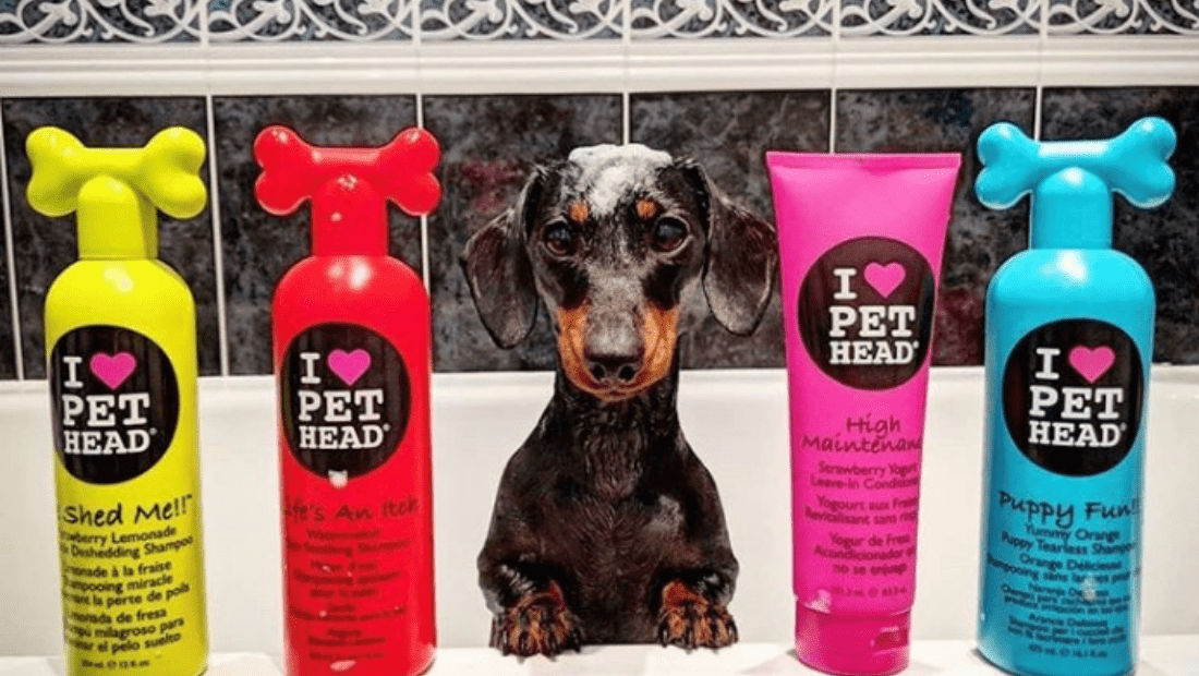 szampon dla zwierząt pet head lifes an itch