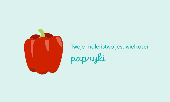 20 tydzień ciązy pampers