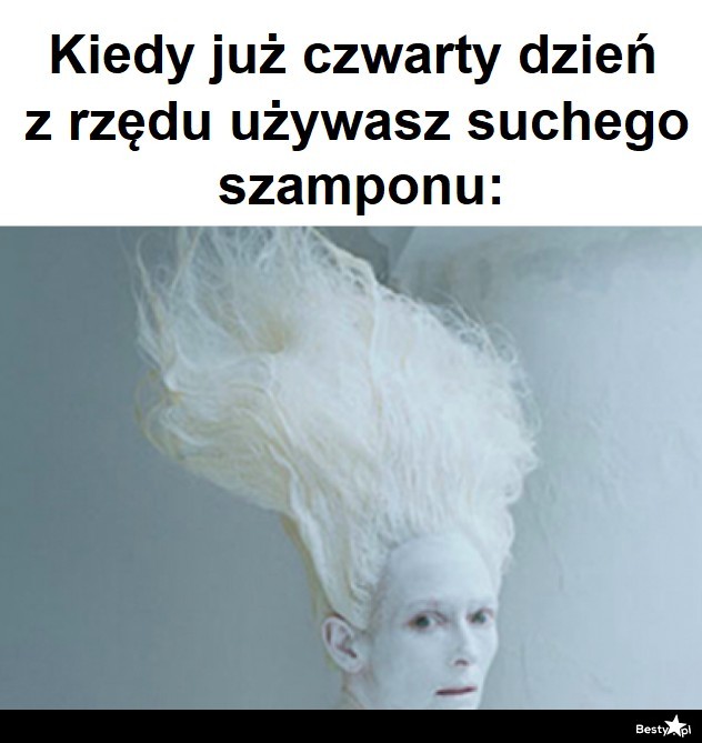 mem.suchy szampon