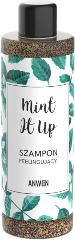 anwen szampon peelingujący mint it up 200ml