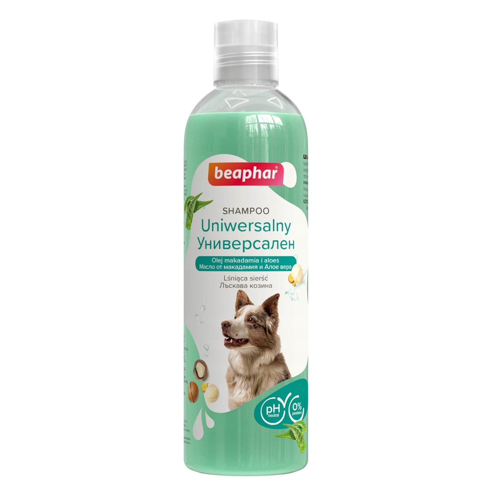 szampon dla psa kosc