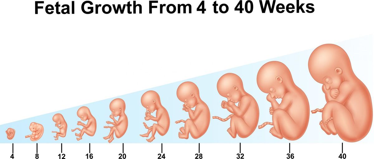 rozwój 19 tygodniowego dziecka pampers