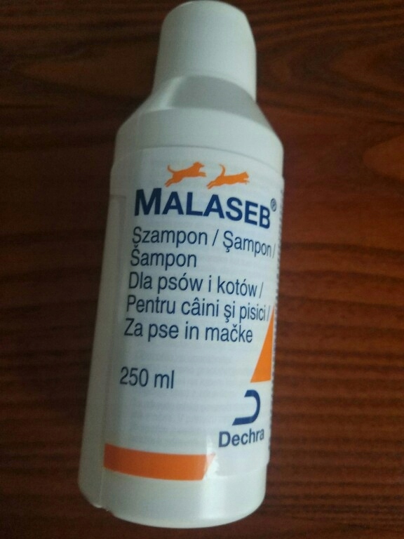 malaseb szampon opinie