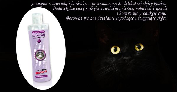 szampon dla kota na lupiez