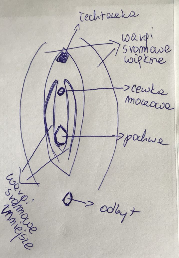 chusteczki nawilżane odbyt podrażniają wargi sromowe