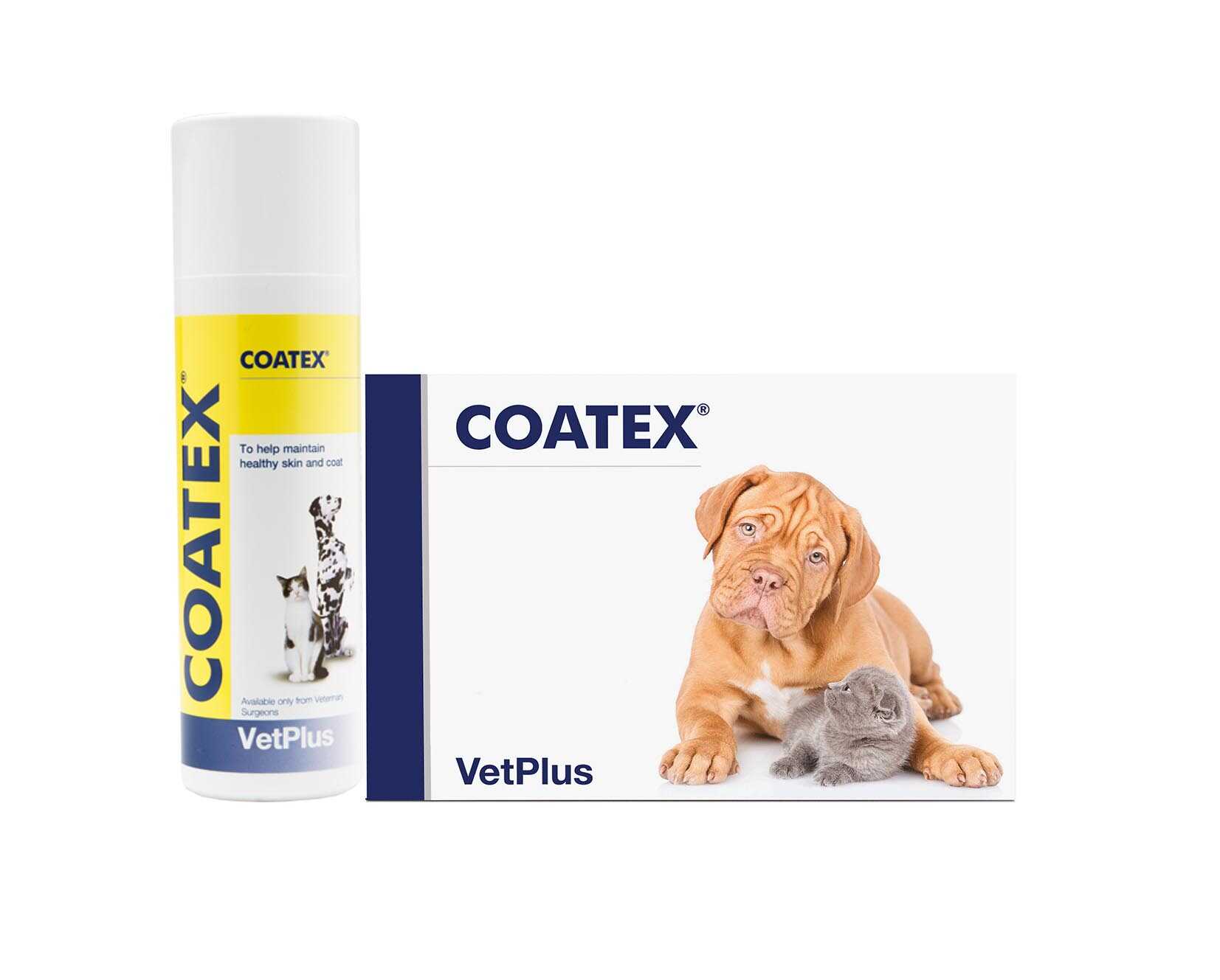coatex szampon dla psa