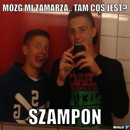 czy szampon zamarza