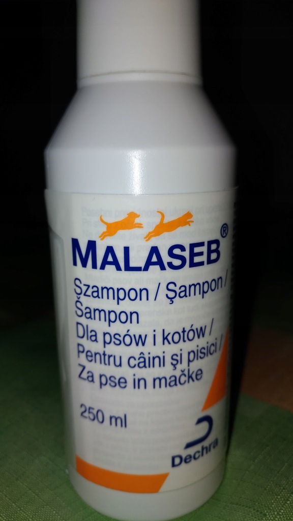 szampon przeciwgrzybiczy dla kota malaseb