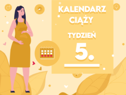 http www.pampers.pl ciaza kalendarz-ciazy seria 33-tydzien-ciazy