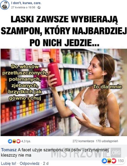 laski lubią jak ich szampon po nich jedzie