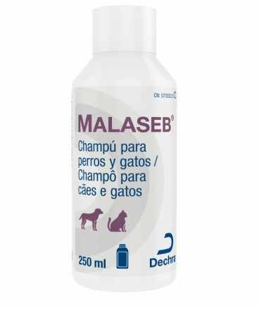 malassezia szampon dla psa