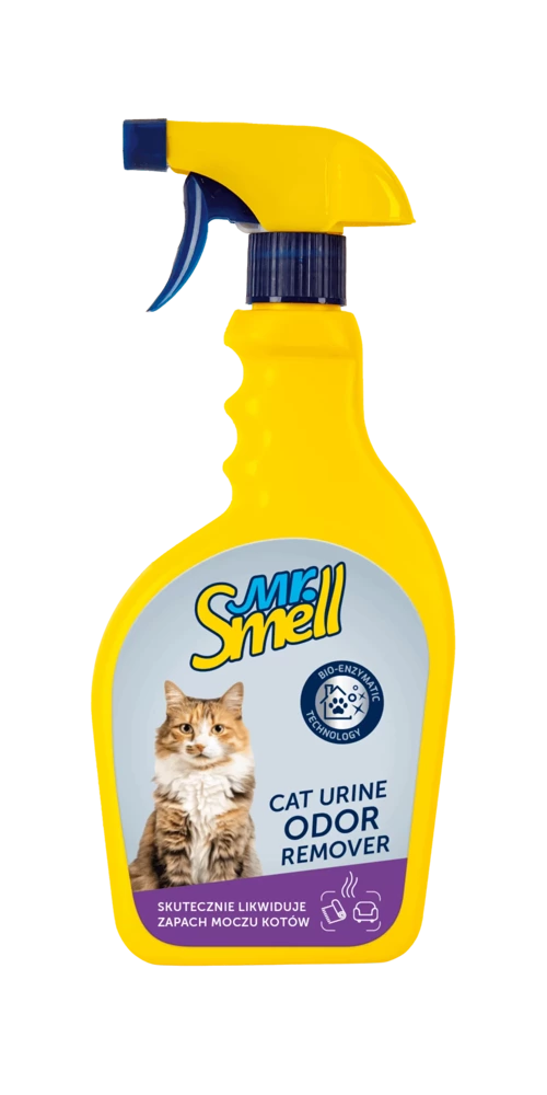 najlepszy szampon na koci mocz