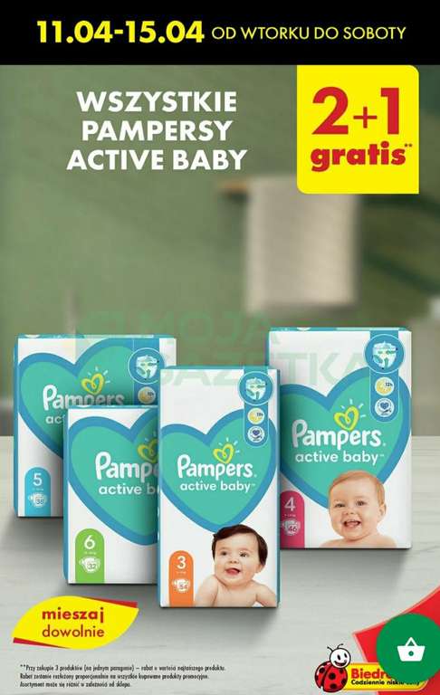 pamper active baby biedronka