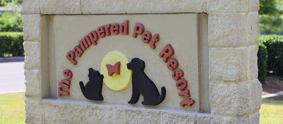 pampered pet resort