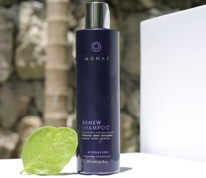 renew szampon monat