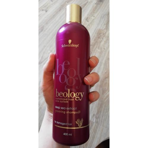 szampon beology rossmann