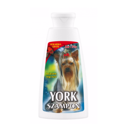 szampon champion york