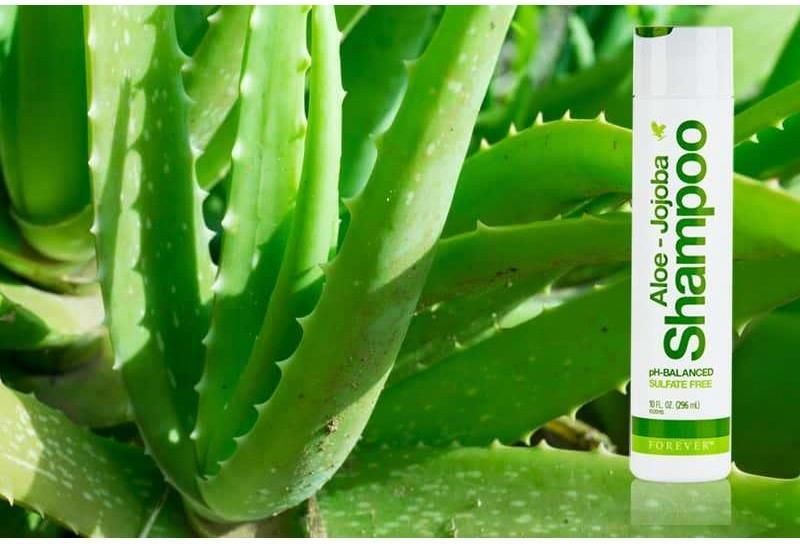 szampon forever aloe jojoba efekty opinie